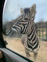 那須サファリパークの写真・動画_image_426621