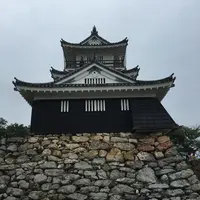 浜松城の写真・動画_image_426678