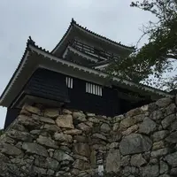 浜松城の写真・動画_image_426681
