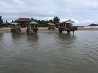 由布島ゆき水牛乗り場の写真・動画_image_426760