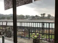 櫟の写真・動画_image_426900