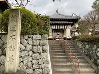 櫟の写真・動画_image_426924