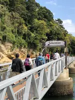 猿島航路の写真・動画_image_427010