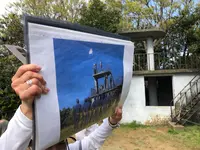 猿島の写真・動画_image_427013