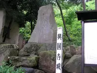 興国寺城跡の写真・動画_image_427038
