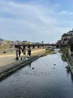 三条大橋の写真・動画_image_427159