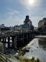 三条大橋の写真・動画_image_427162