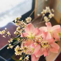 発酵カフェ小春日和の写真・動画_image_427213