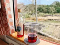 由良川鉄橋の写真・動画_image_427442