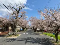 丹後由良駅の写真・動画_image_427449