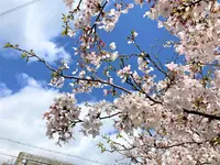 丹後由良駅の写真・動画_image_427450