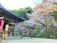 如意寺の写真・動画_image_427495