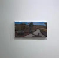 タロウナスの写真・動画_image_427520