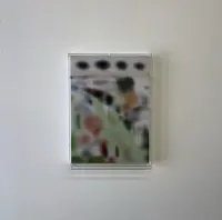 タロウナスの写真・動画_image_427523