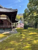 青蓮院門跡の写真・動画_image_427610