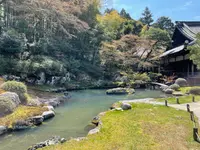 青蓮院門跡の写真・動画_image_427614