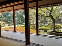 青蓮院門跡の写真・動画_image_427617