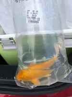 道の駅めぬまの写真・動画_image_427767
