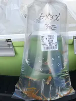 道の駅めぬまの写真・動画_image_427768