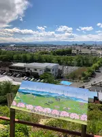 吉見百穴の写真・動画_image_427776