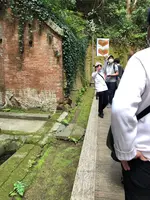 猿島の写真・動画_image_427824