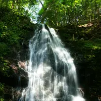 不動滝の写真・動画_image_428254