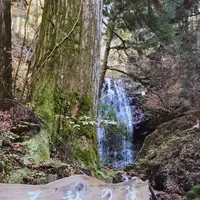 不動滝の写真・動画_image_428260