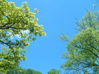 ホテル ホリデーホームの写真・動画_image_428336