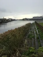 七里の渡し着場跡の写真・動画_image_428729
