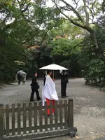 熱田神宮の写真・動画_image_428735