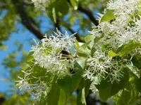 ホテル ホリデーホームの写真・動画_image_428916