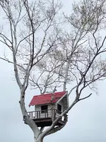 オホーツクシマリス公園の写真・動画_image_429296