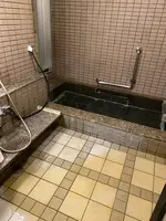 温根湯温泉 美肌の湯元 大江本家の写真・動画_image_429298