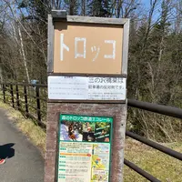 森のトロッコエコレールの写真・動画_image_429304