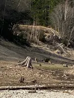 タウシュベツ川橋梁の写真・動画_image_429322