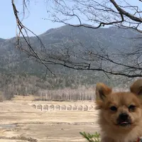 タウシュベツ橋梁展望台の写真・動画_image_429325