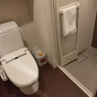 天然温泉紀州の湯ドーミーインPREMIUM和歌山の写真・動画_image_429449