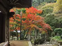 大雄山最乗寺の写真・動画_image_42947