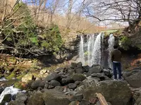 乙女の滝の写真・動画_image_429598