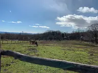 那須高原南ヶ丘牧場の写真・動画_image_429602