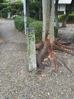 桶狭間古戦場伝説地の写真・動画_image_429617