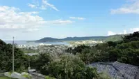 ピザ喫茶ミモザの木の写真・動画_image_429725