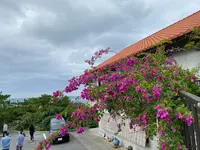 カフェ土花土花の写真・動画_image_429755