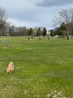 おんねゆ温泉つつじ公園の写真・動画_image_429760