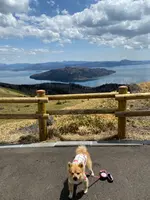 屈斜路湖の写真・動画_image_429775