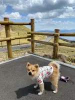 屈斜路湖の写真・動画_image_429776