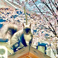 北天の丘 あばしり湖鶴雅リゾートの写真・動画_image_429792
