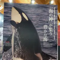 知床世界遺産センターの写真・動画_image_429805