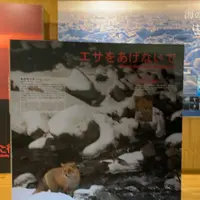 知床世界遺産センターの写真・動画_image_429806