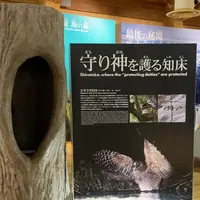 知床世界遺産センターの写真・動画_image_429807
